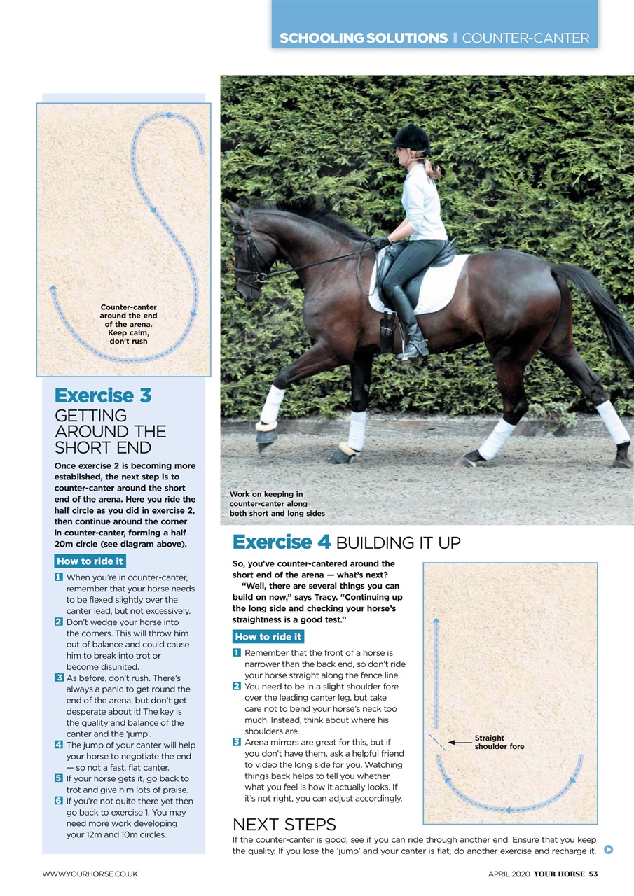 Your Horse Preview Pages
