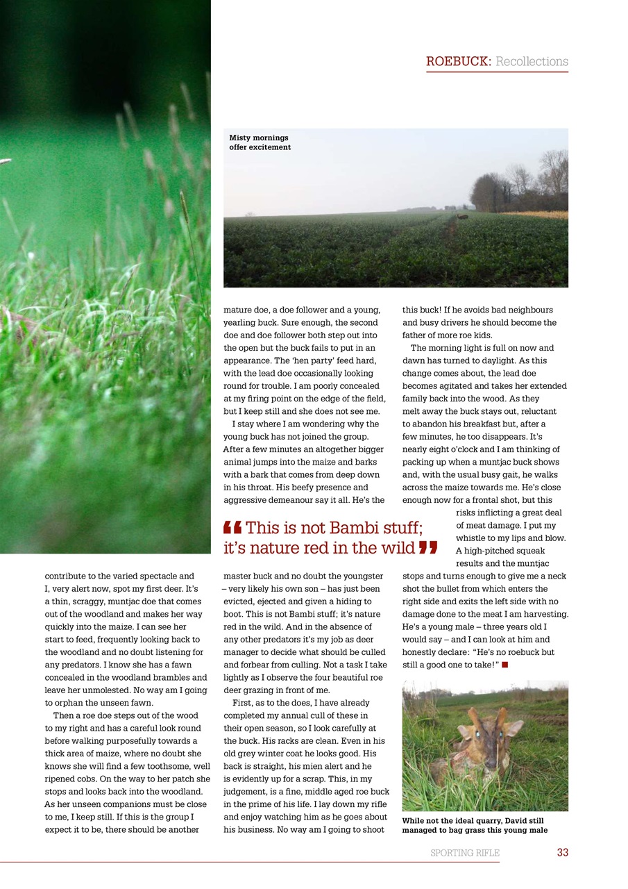 Sporting Rifle Preview Pages