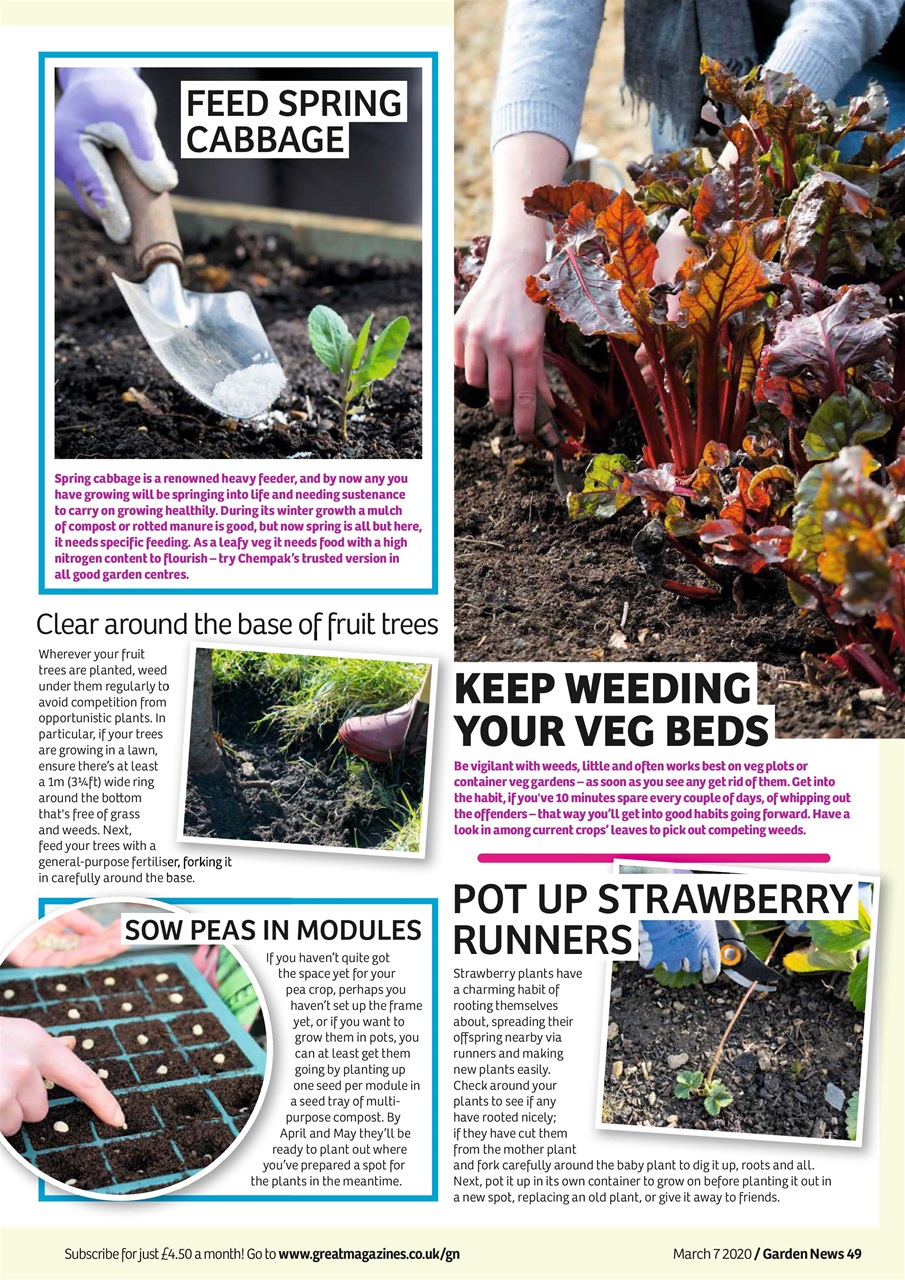 Garden News Preview Pages