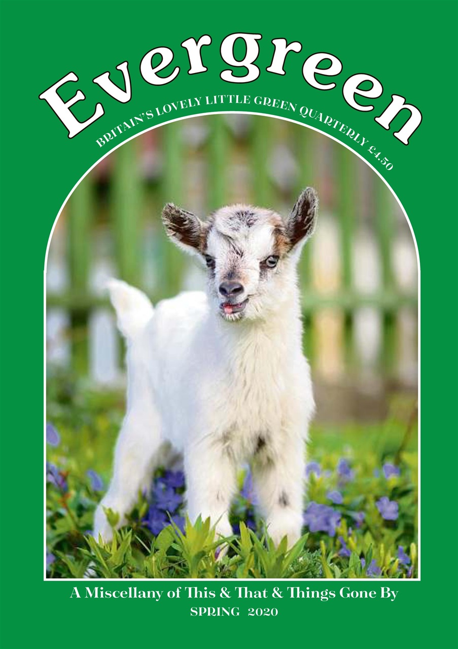 Evergreen Preview Pages