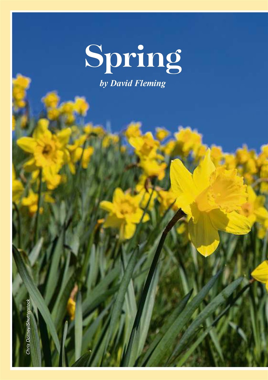 Evergreen Preview Pages