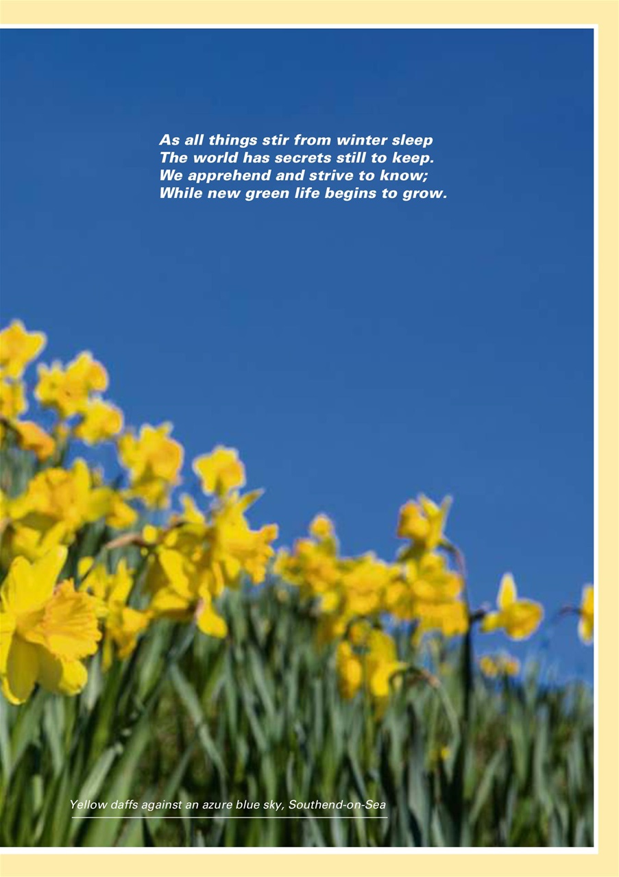 Evergreen Preview Pages