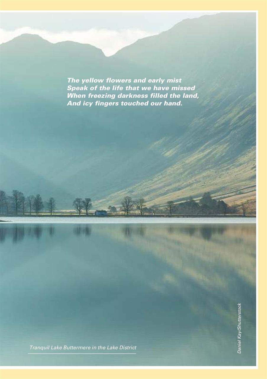 Evergreen Preview Pages