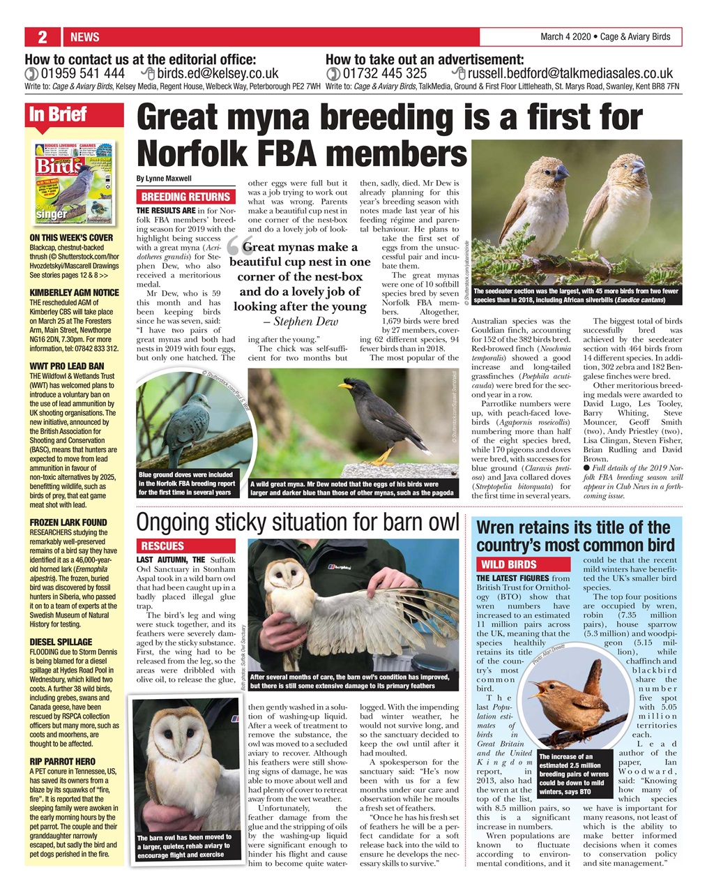 Cage & Aviary Birds Preview Pages