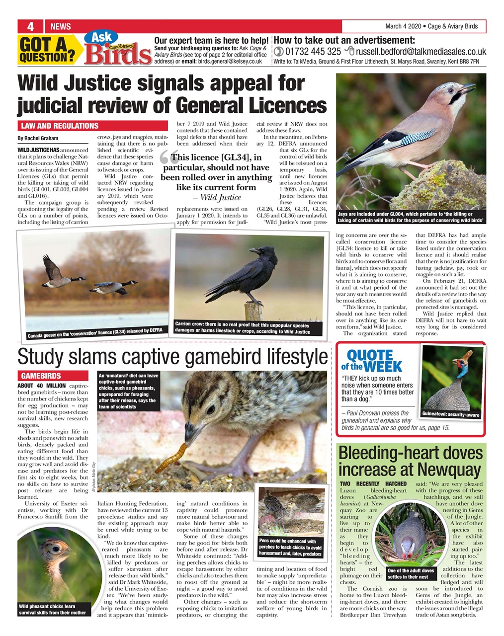 Cage & Aviary Birds Preview Pages