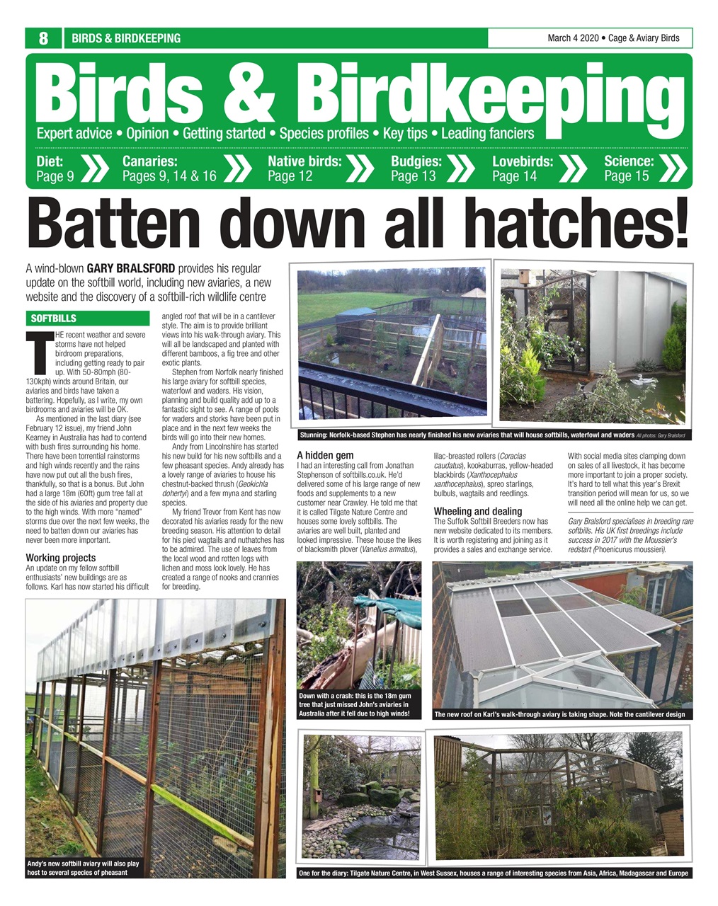 Cage & Aviary Birds Preview Pages
