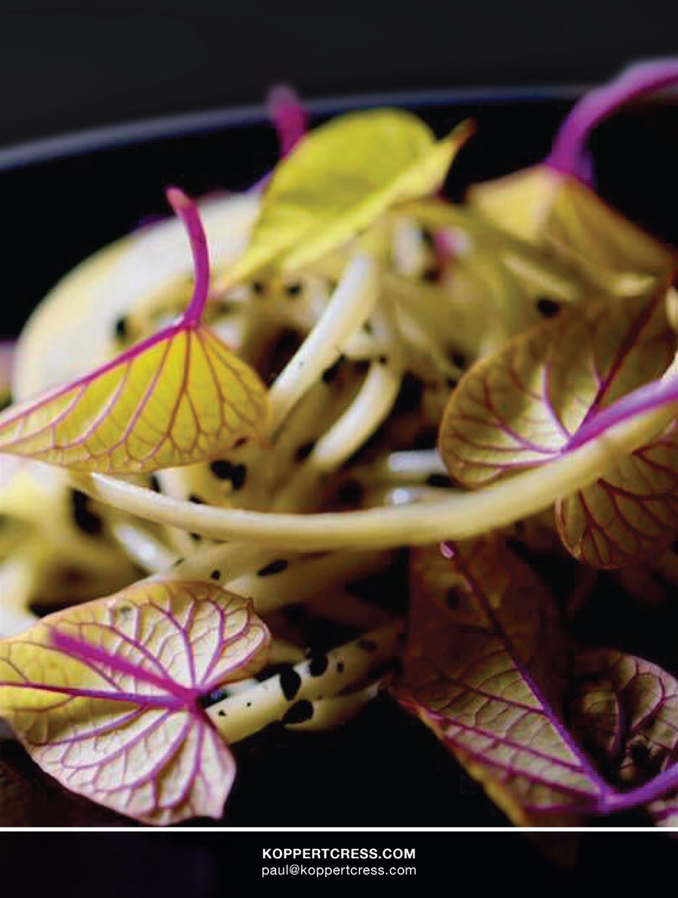 Chef & Restaurant Magazine Preview Pages