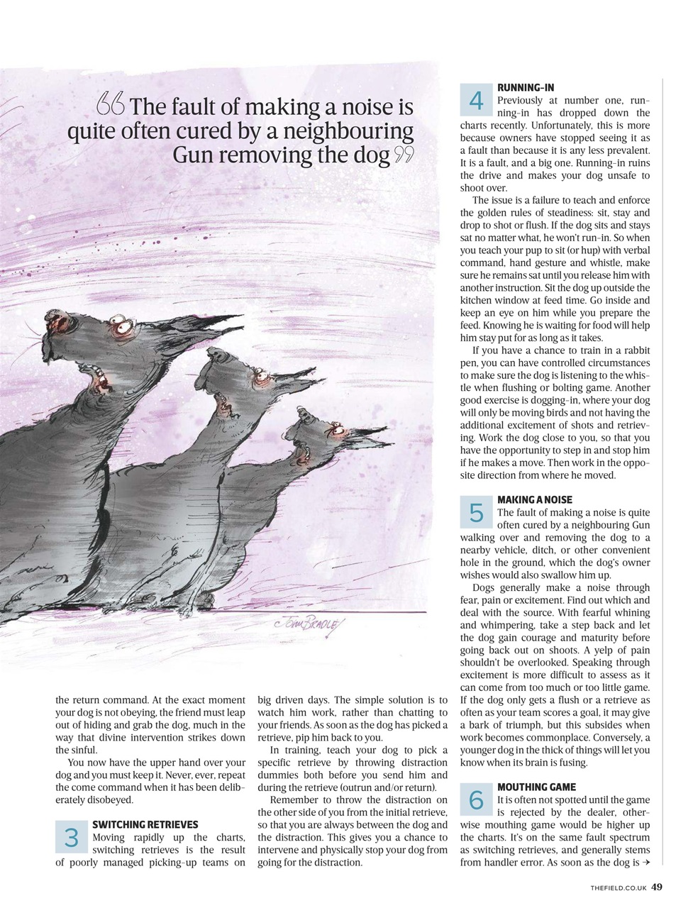 The Field Preview Pages