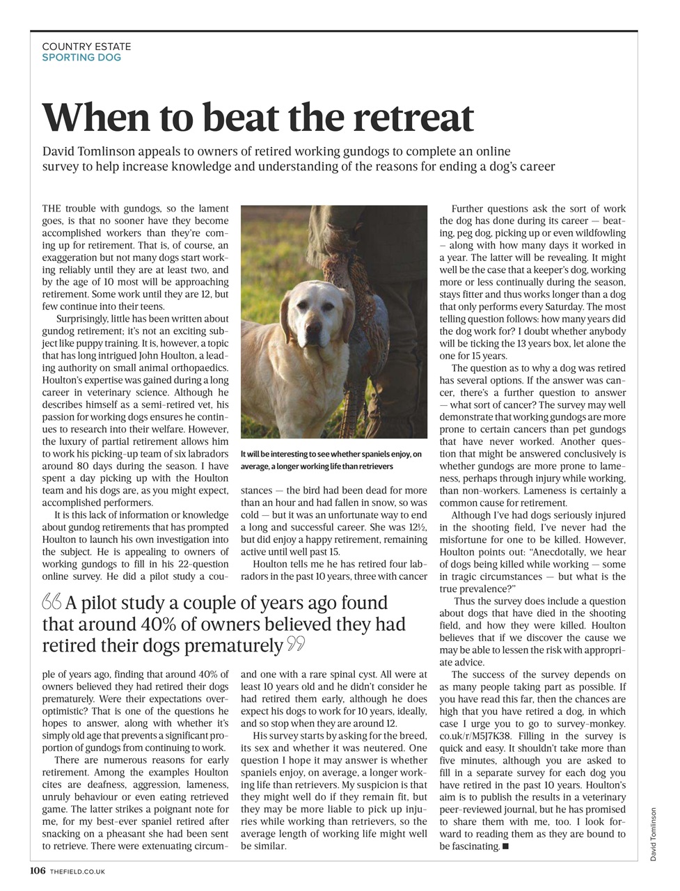 The Field Preview Pages