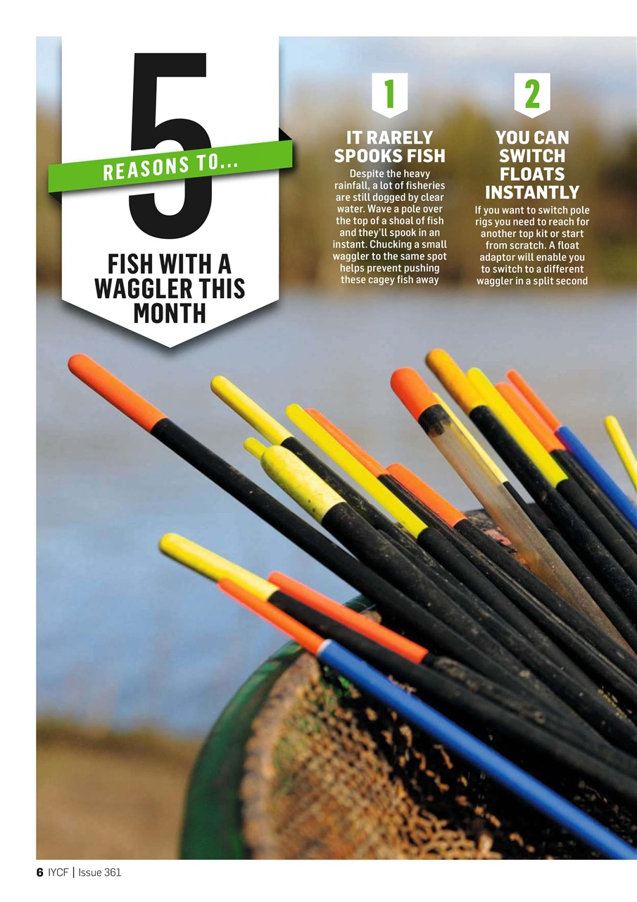 Improve Your Coarse Fishing Preview Pages