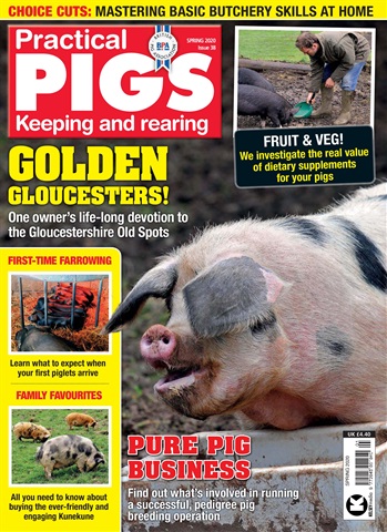 Practical Pigs issue Spring 2020