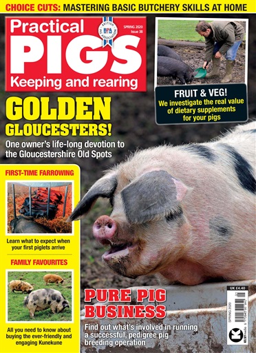 Practical Pigs issue 
