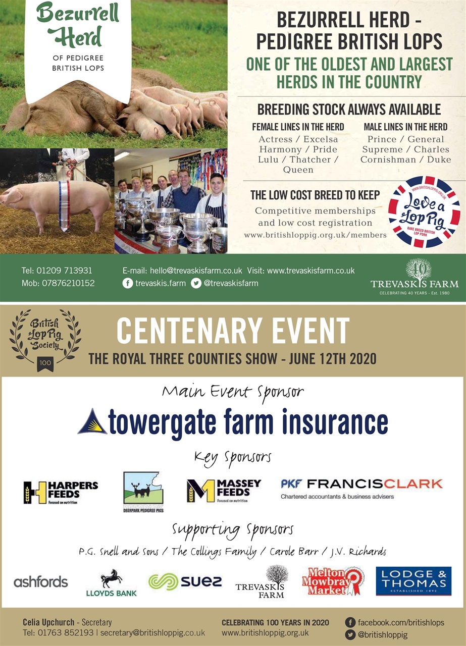 Practical Pigs Preview Pages