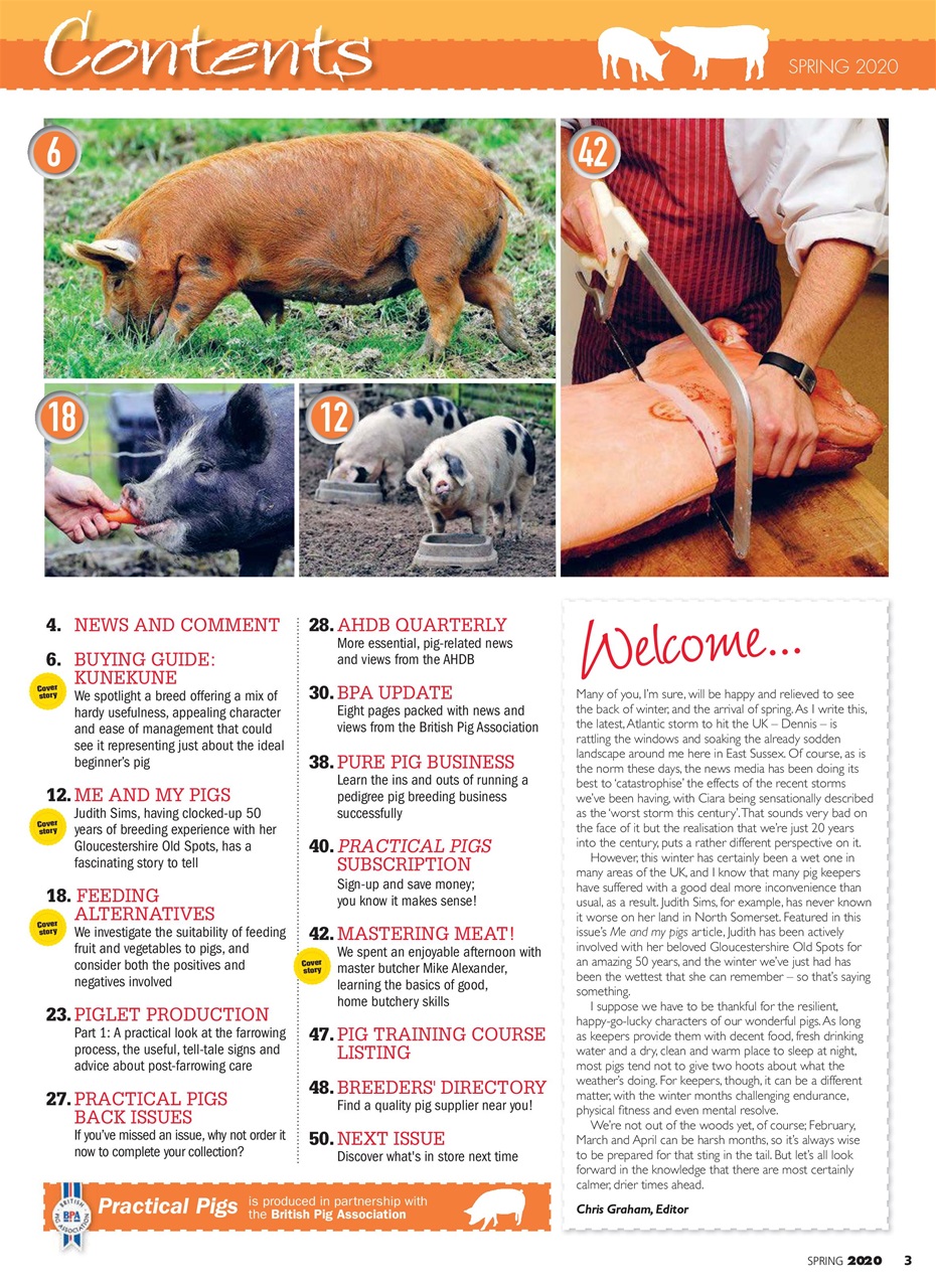 Practical Pigs Preview Pages