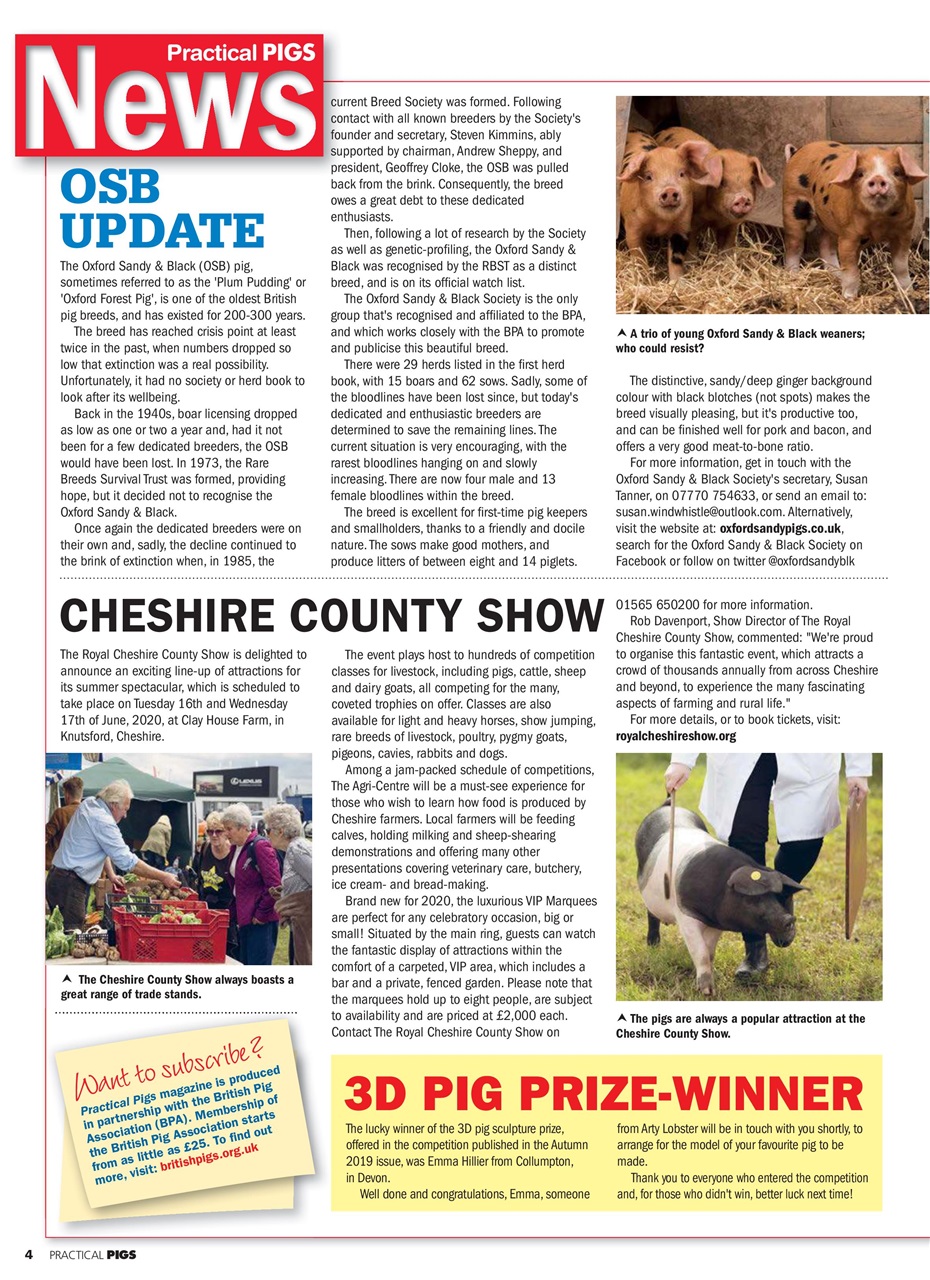 Practical Pigs Preview Pages