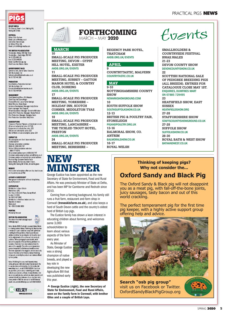 Practical Pigs Preview Pages