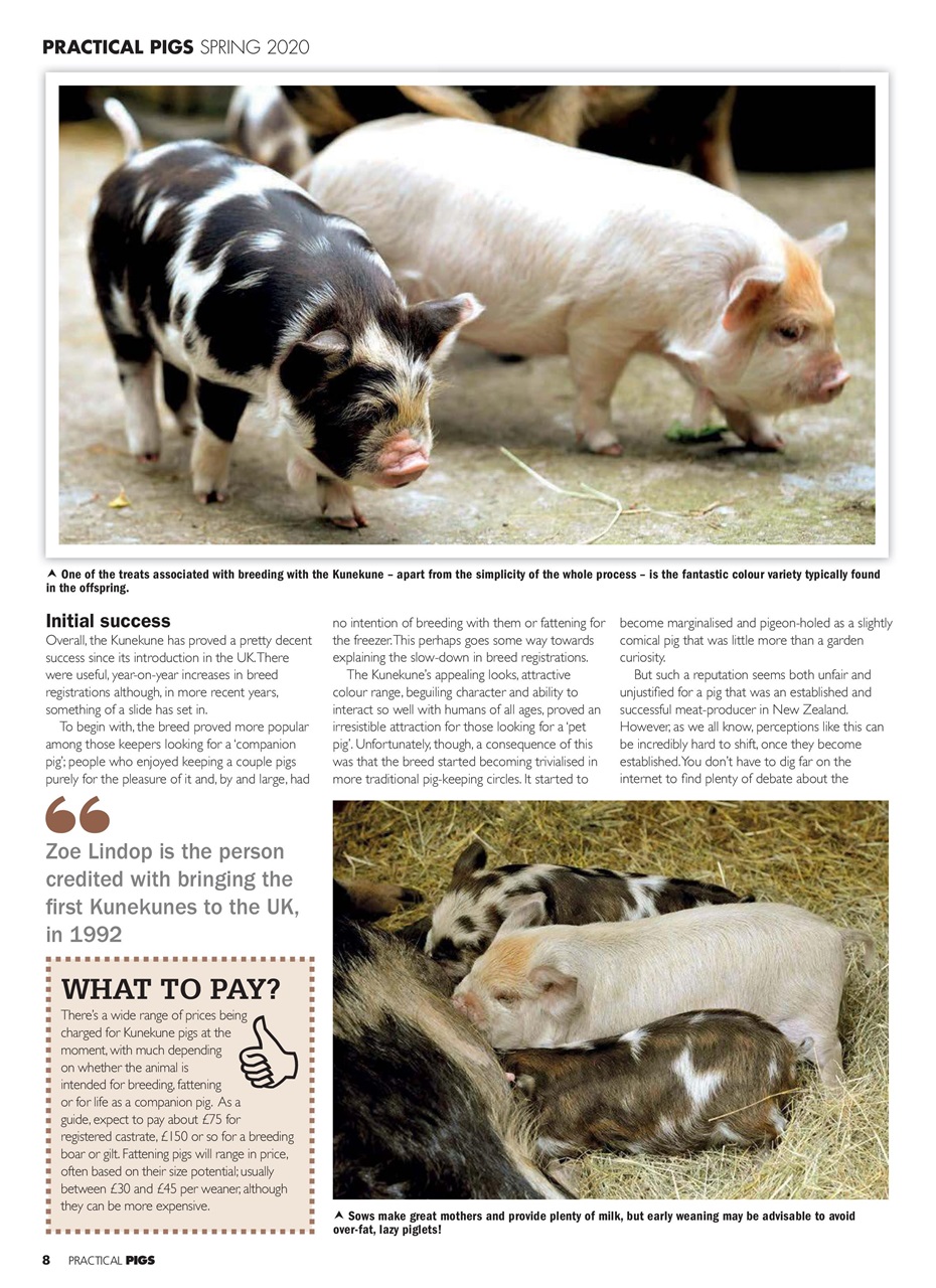 Practical Pigs Preview Pages