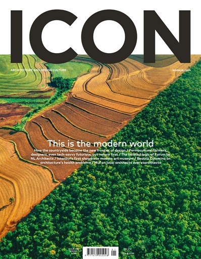 Icon issue 