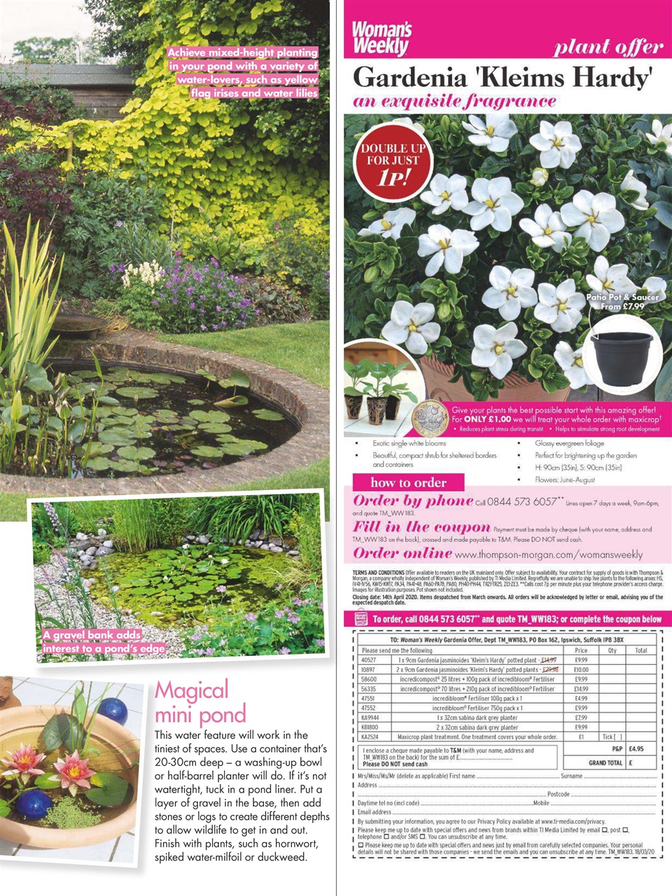 Woman's Weekly Preview Pages