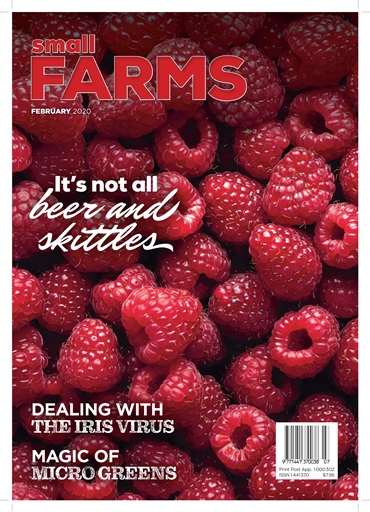 Small Farms issue 