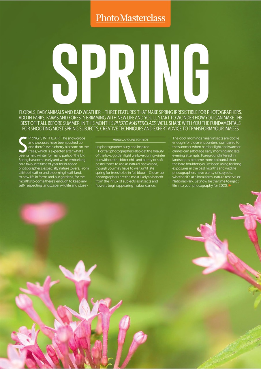 Digital SLR Photography Preview Pages