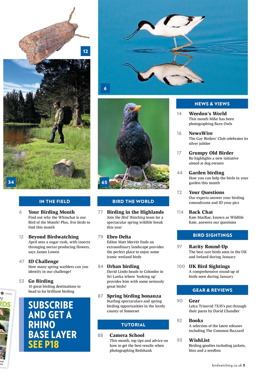 Bird Watching Preview Pages