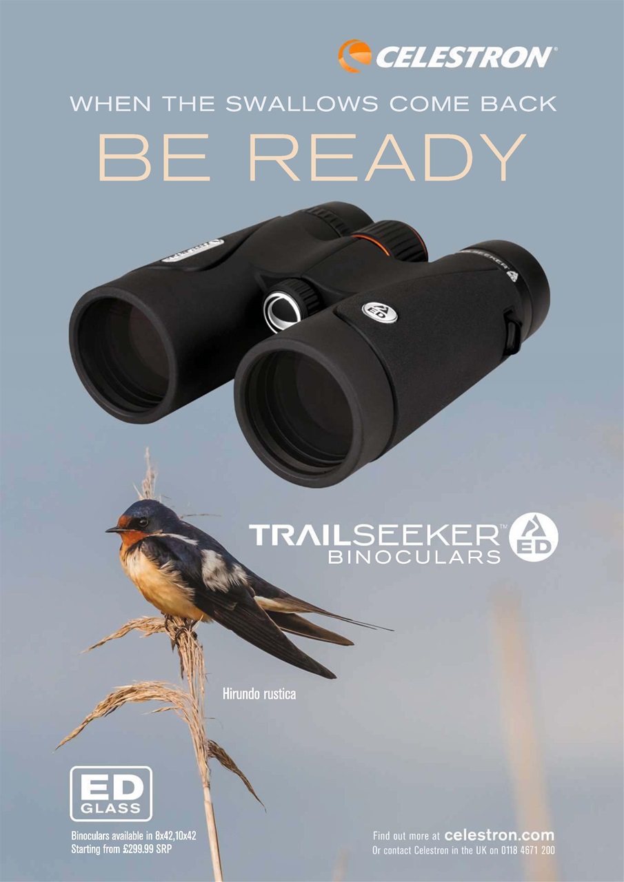 Bird Watching Preview Pages