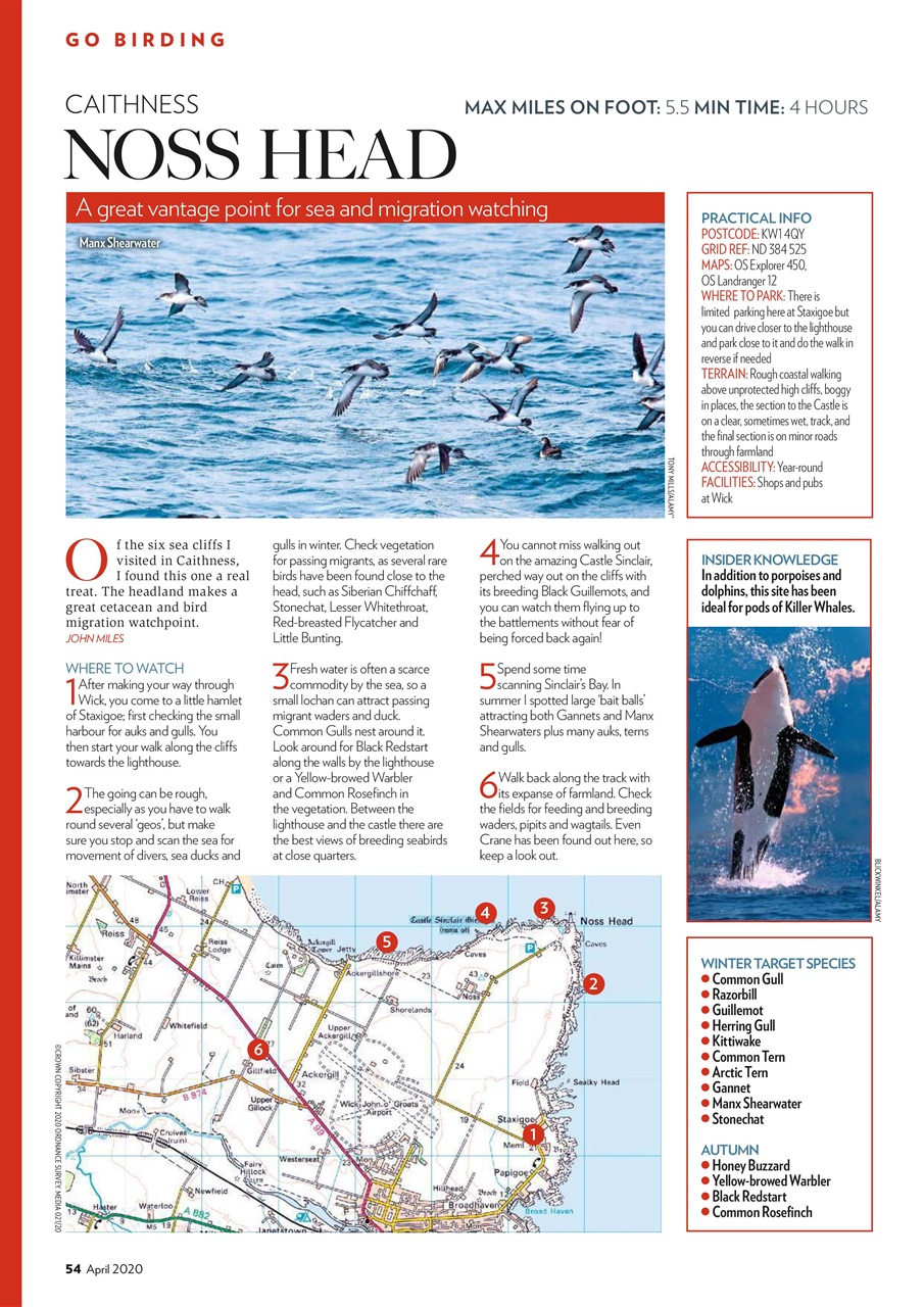 Bird Watching Preview Pages