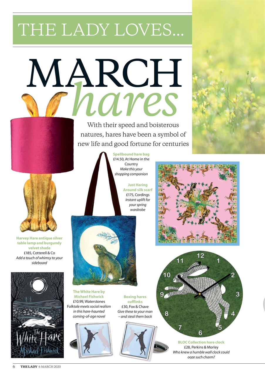 The Lady Preview Pages