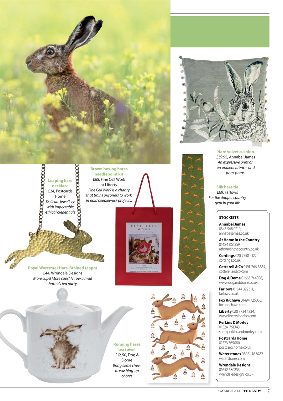 The Lady Preview Pages