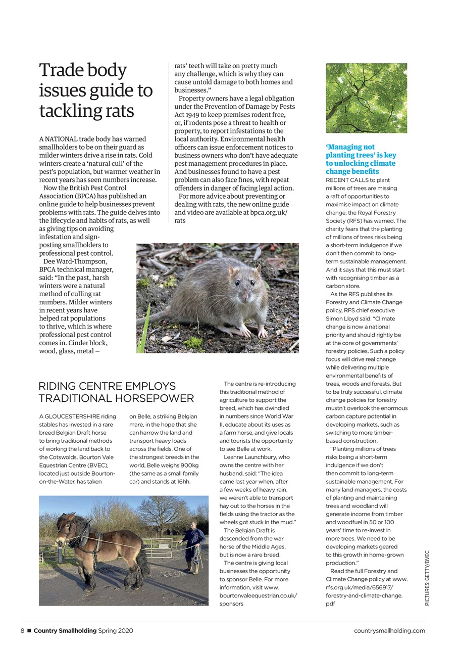 The Country Smallholder Preview Pages