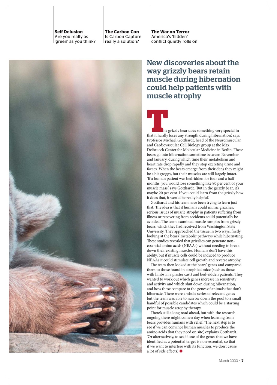 Geographical Preview Pages