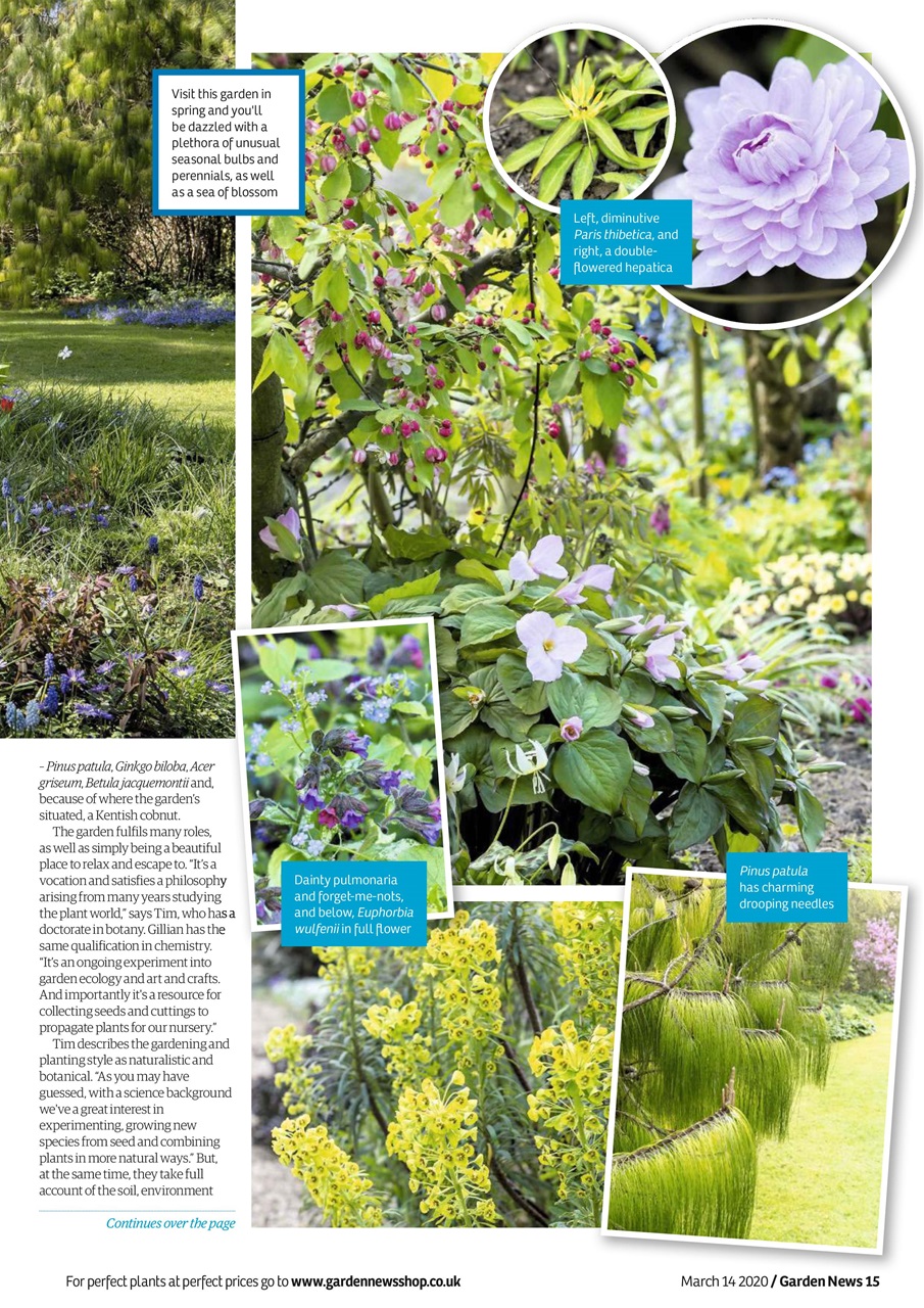 Garden News Preview Pages