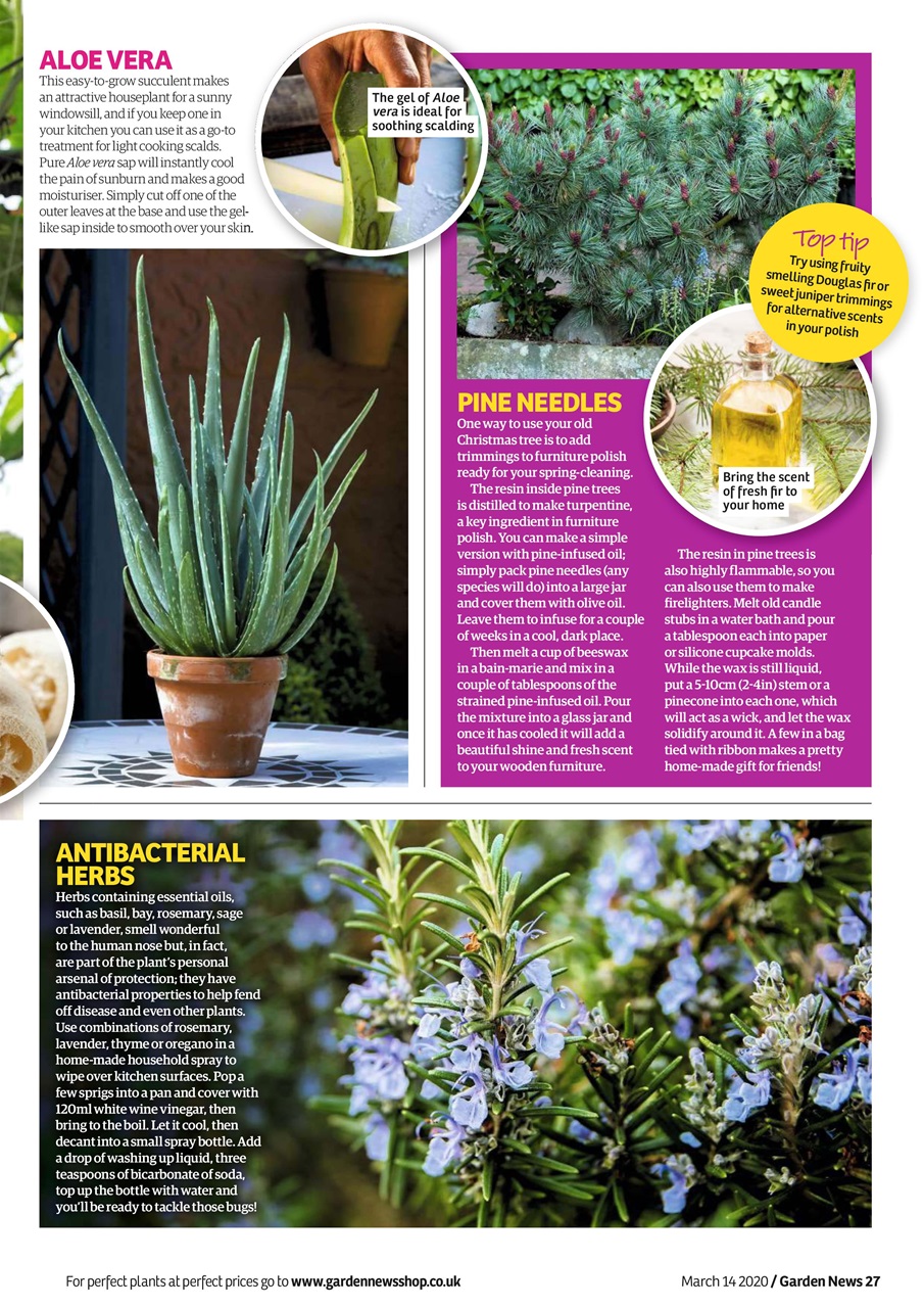 Garden News Preview Pages