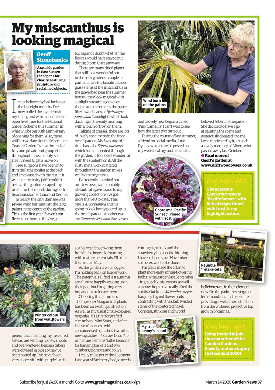 Garden News Preview Pages