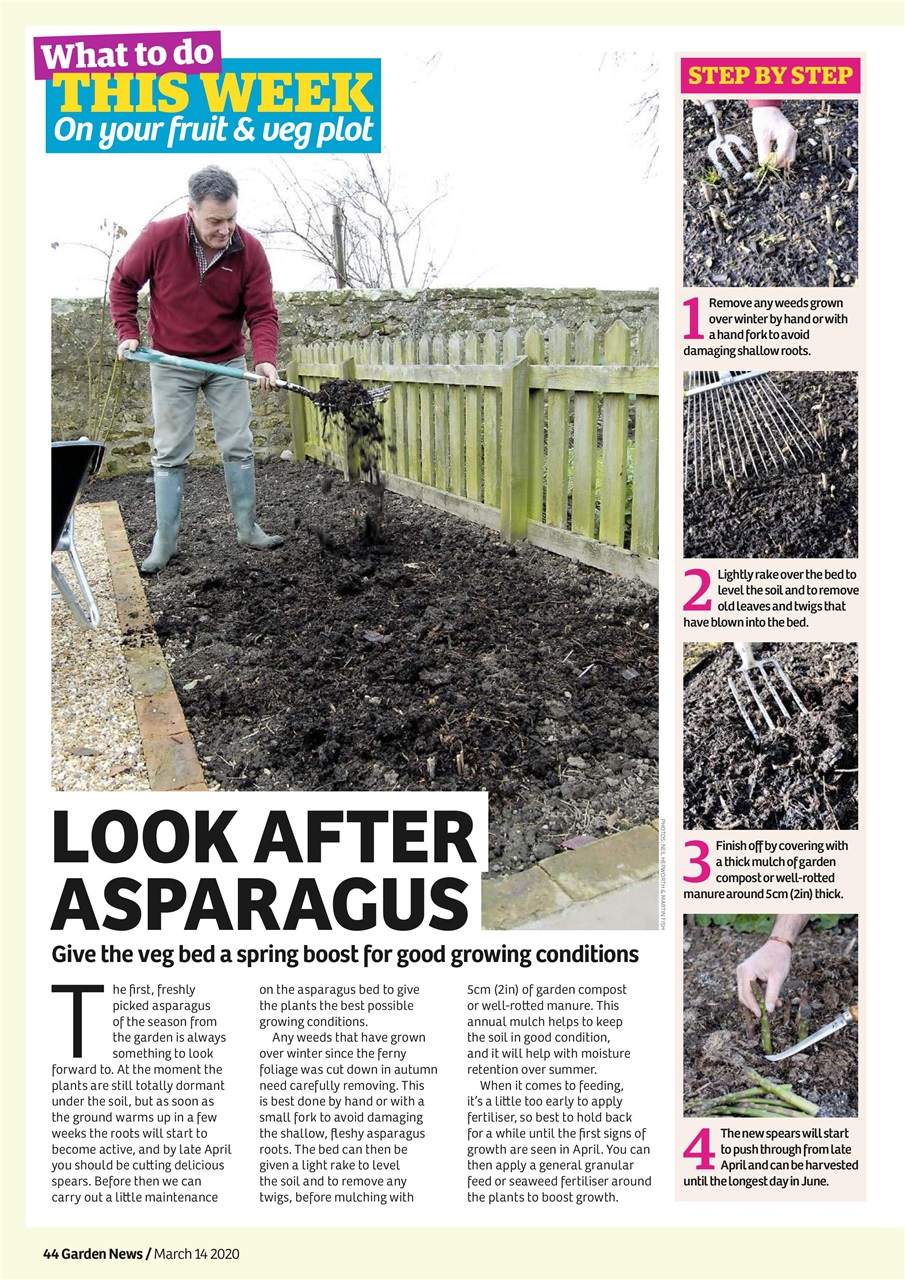 Garden News Preview Pages
