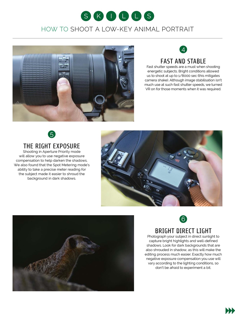 Photography Week Preview Pages