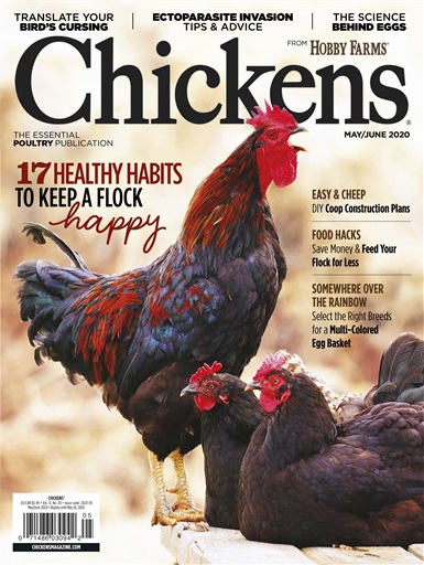 Chickens Magazine issue 