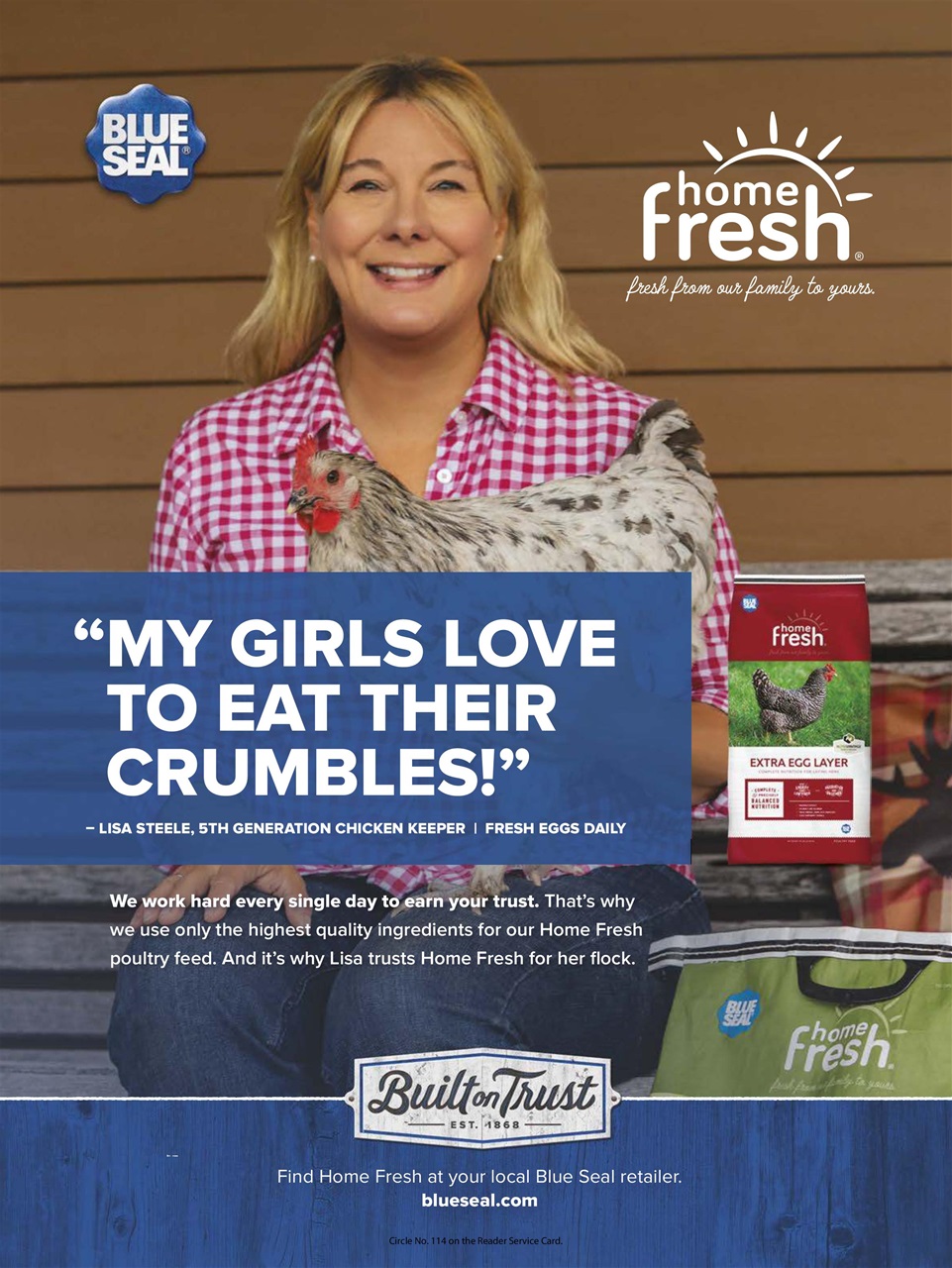 Chickens Magazine Preview Pages