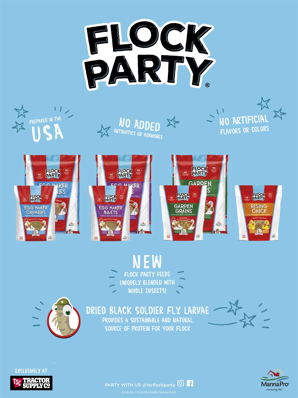 Chickens Magazine Preview Pages