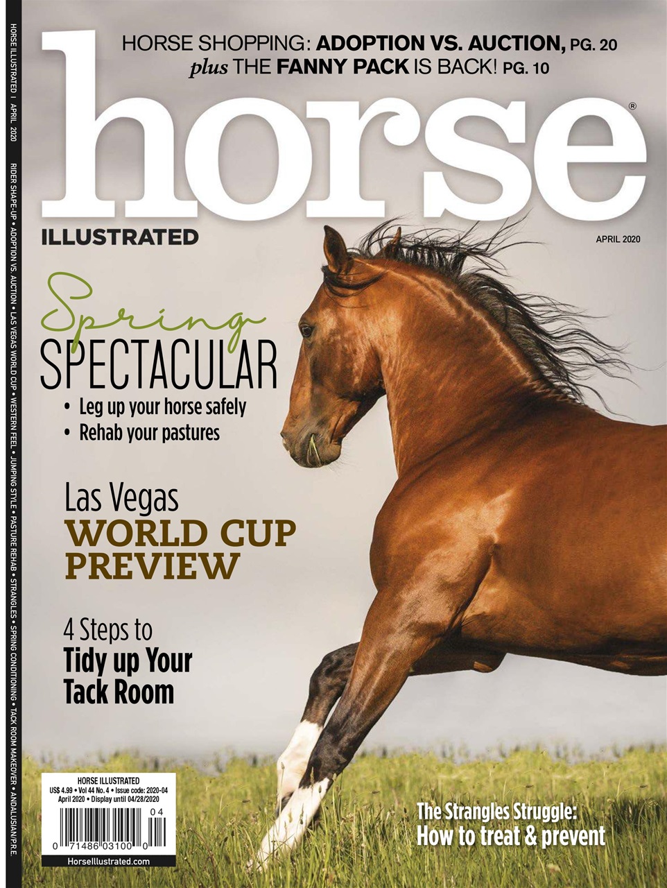 Horse Illustrated Magazine Preview Pages