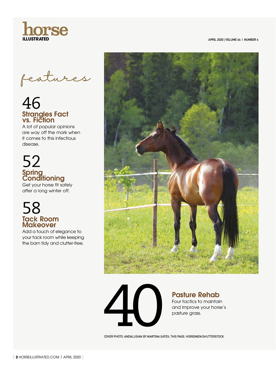 Horse Illustrated Magazine Preview Pages