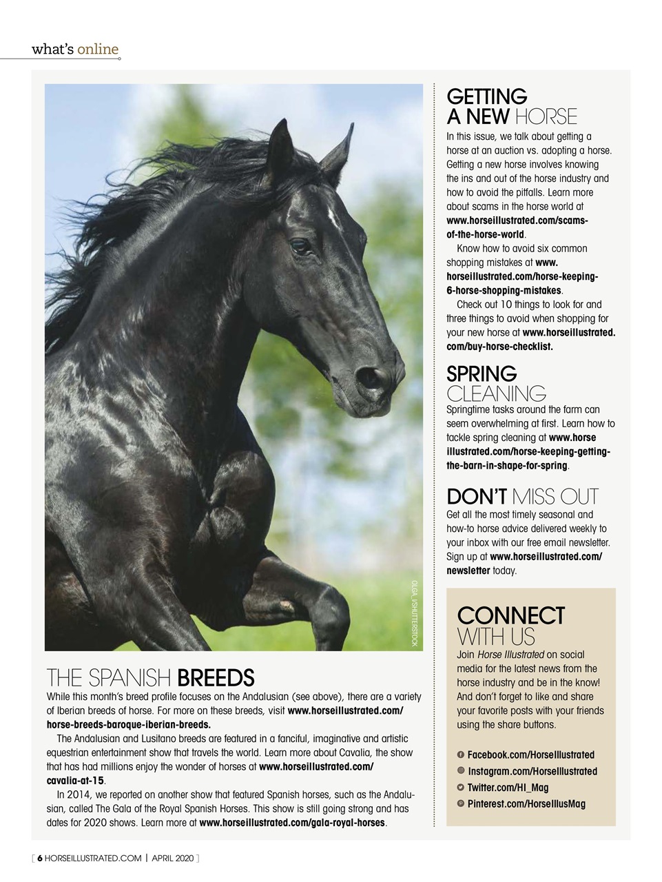 Horse Illustrated Magazine Preview Pages
