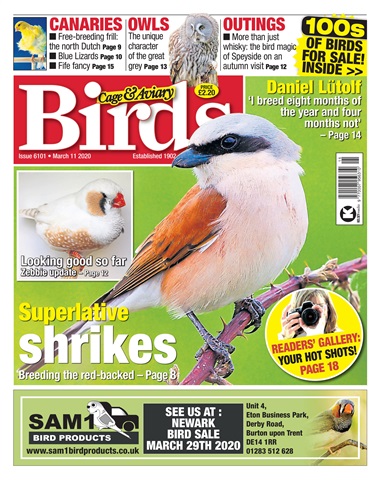 Cage & Aviary Birds issue 11/03/2020