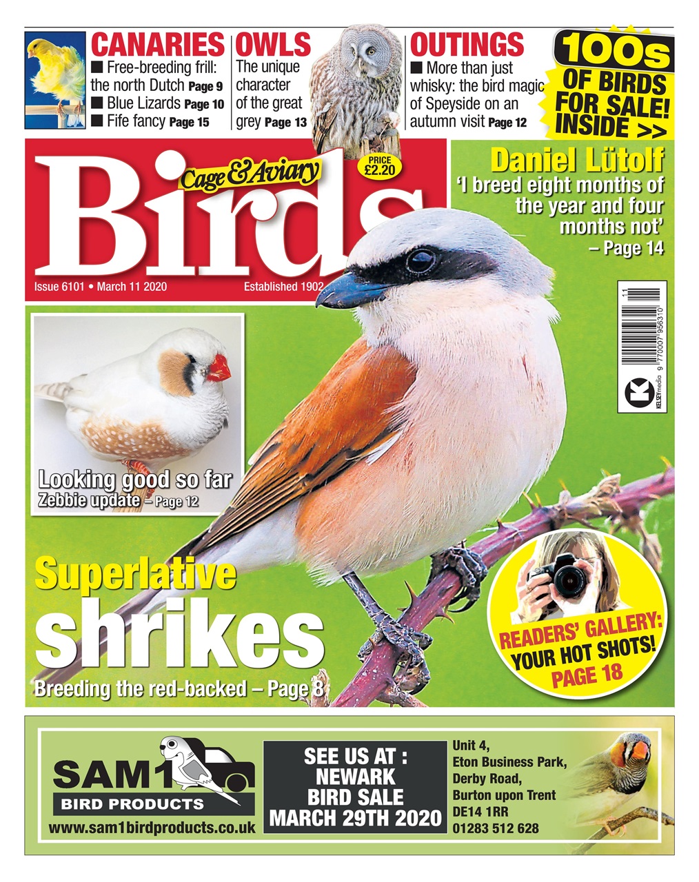 Cage & Aviary Birds Preview Pages