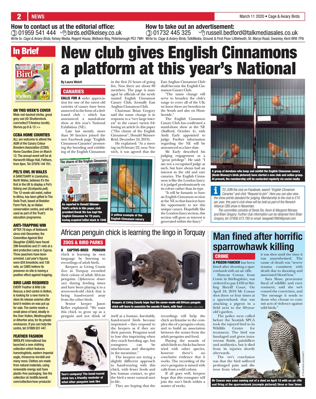 Cage & Aviary Birds Preview Pages