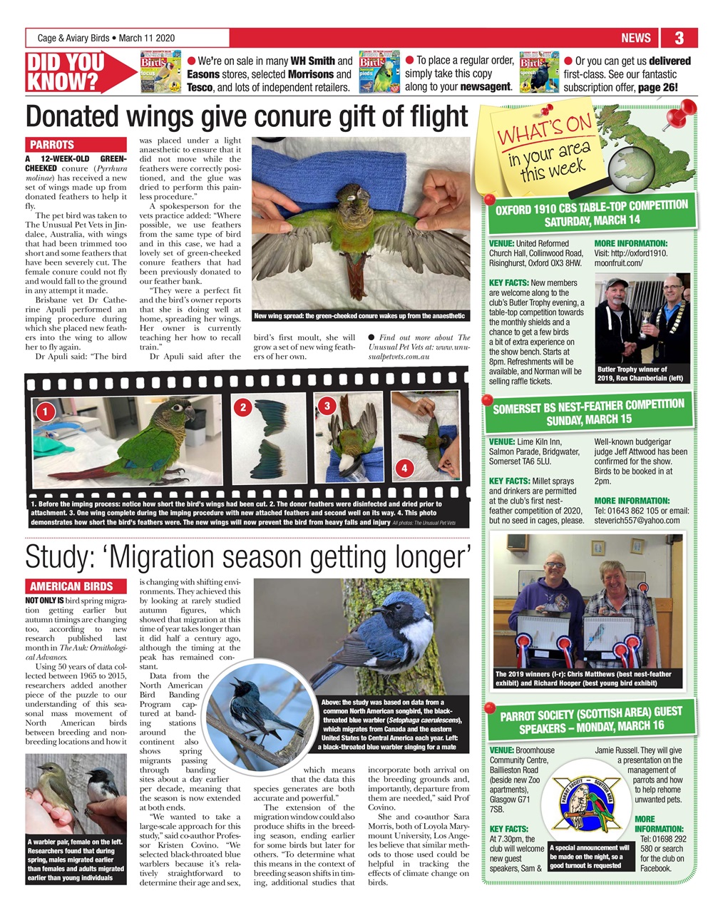 Cage & Aviary Birds Preview Pages