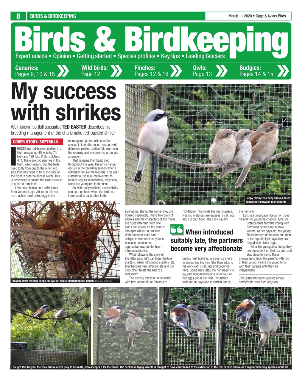 Cage & Aviary Birds Preview Pages