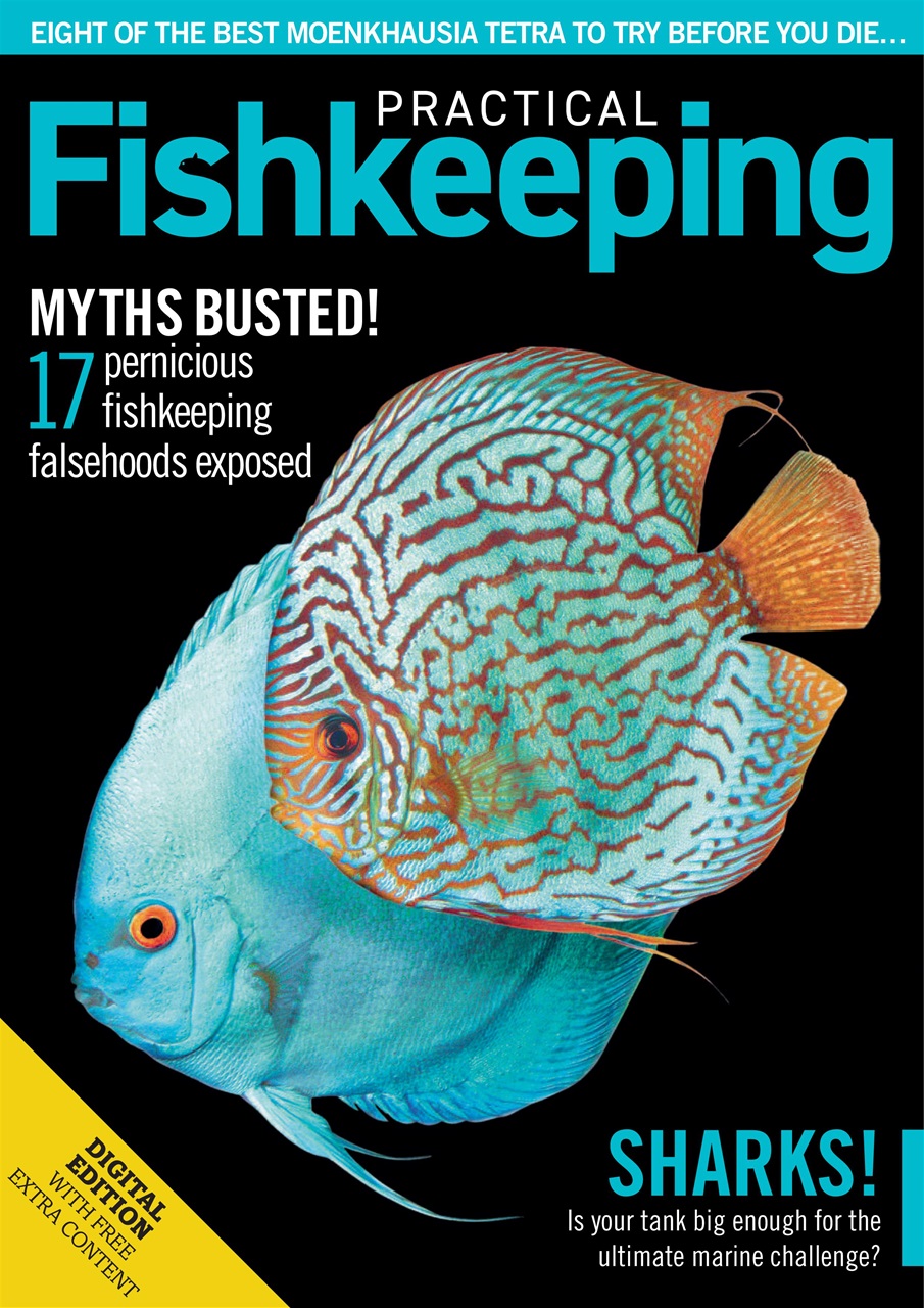 Practical Fishkeeping Preview Pages