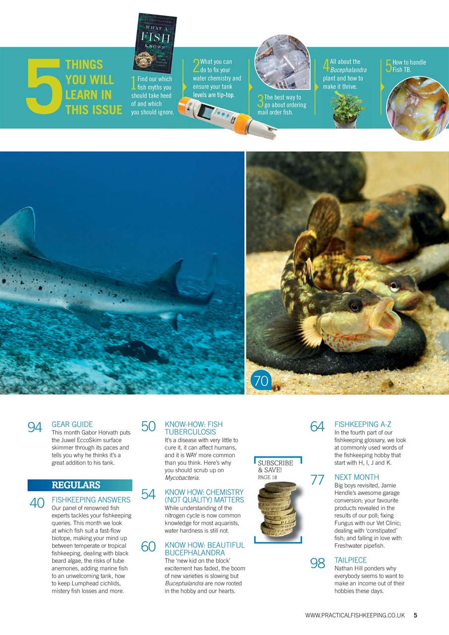 Practical Fishkeeping Preview Pages